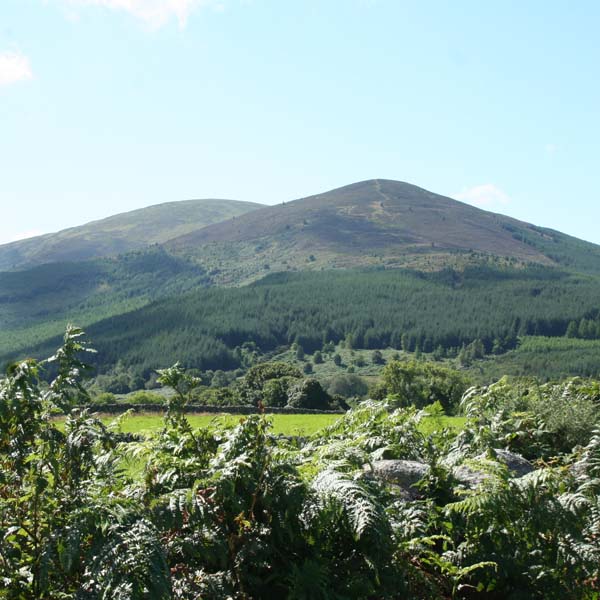 Criffel and Knockendoch skyline from New Abbey